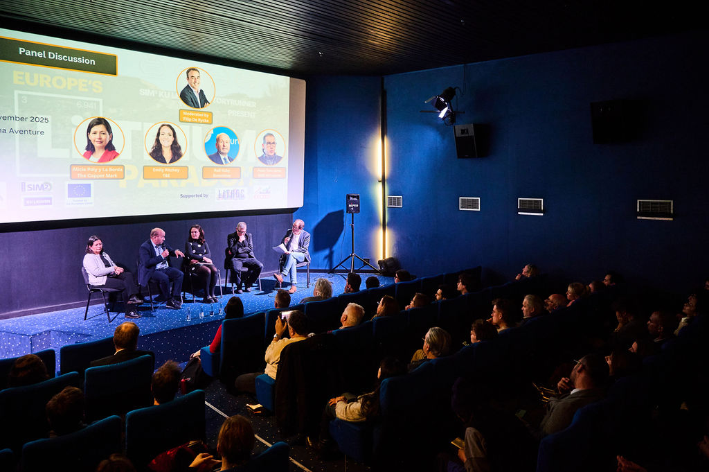 Europe's Lithium Paradox - Panel Discussion panellists