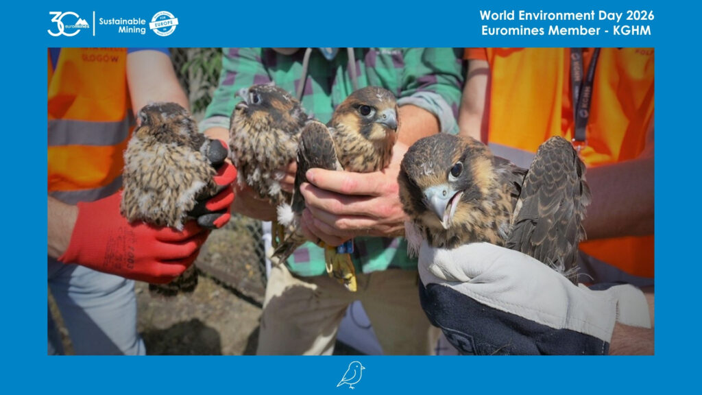 World Environment Day 2026 - KGHM