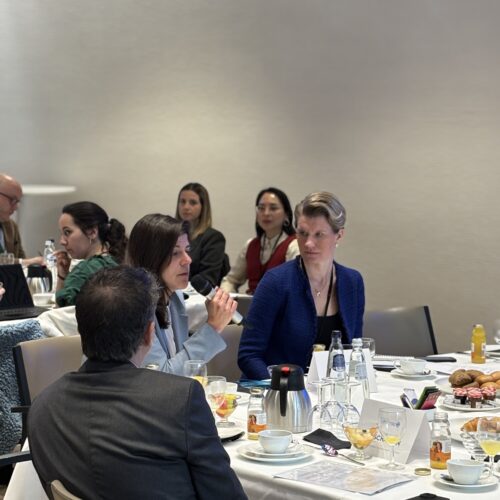 Euromines-Policy-Breakfast-25.03.2026-02-500x500