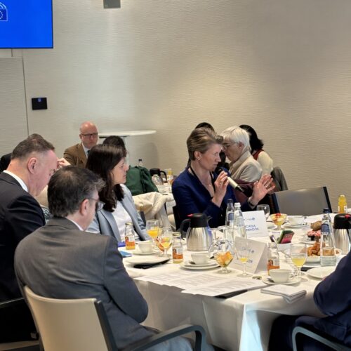 Euromines-Policy-Breakfast-25.03.2026-08-500x500